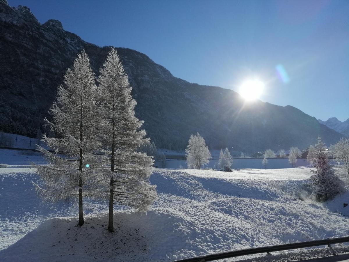 Hotel Ai Larici à Perarolo di Cadore Extérieur photo